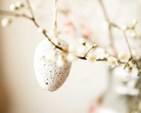 Pasqua a Tavola: Un Tripudio di Sapori che Incanta i Sensi!
