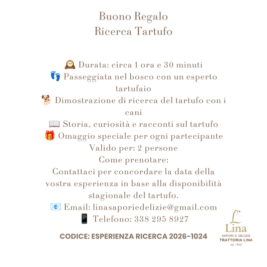 Buono Esperienza Ricerca del tartufo