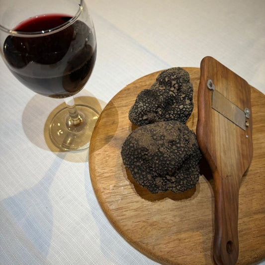 Black summer truffle, scorzone (Tuber aestivum)