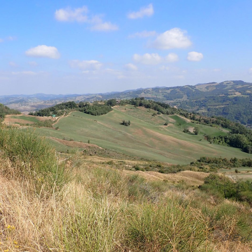 Tornare alla natura (anche a tavola)
