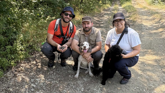Remaining Balance – Truffle Hunt & Tasting – October 23, 2026