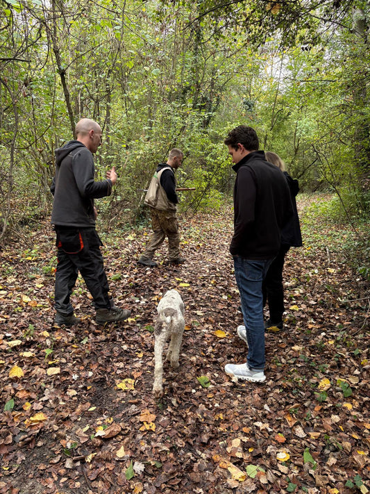 Truffle Hunt & Tasting – October 22, 2026