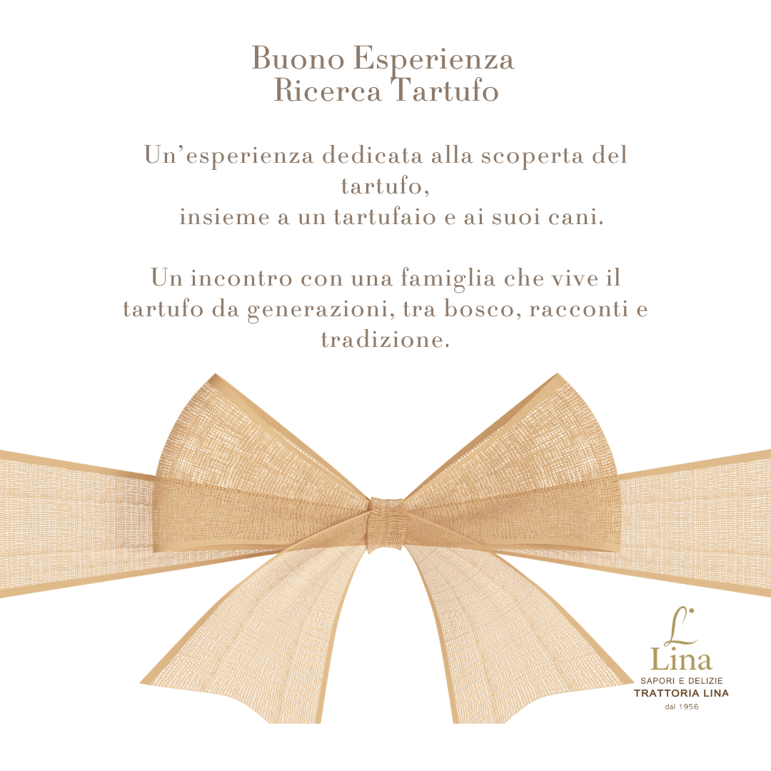 Buono Esperienza Ricerca del tartufo