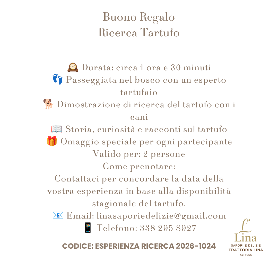 Buono Esperienza Ricerca del tartufo