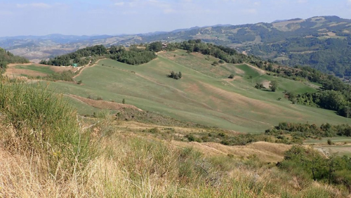 colline di savigno bologna