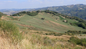 colline di savigno bologna